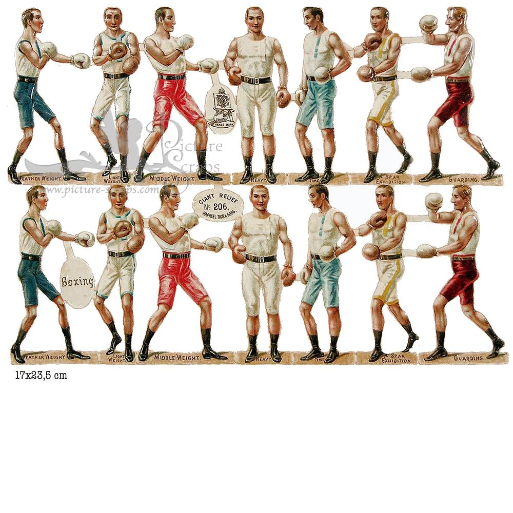 R.Tuck 206 boxing 1.jpg