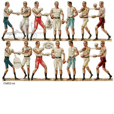 R.Tuck 206 boxing 1.jpg