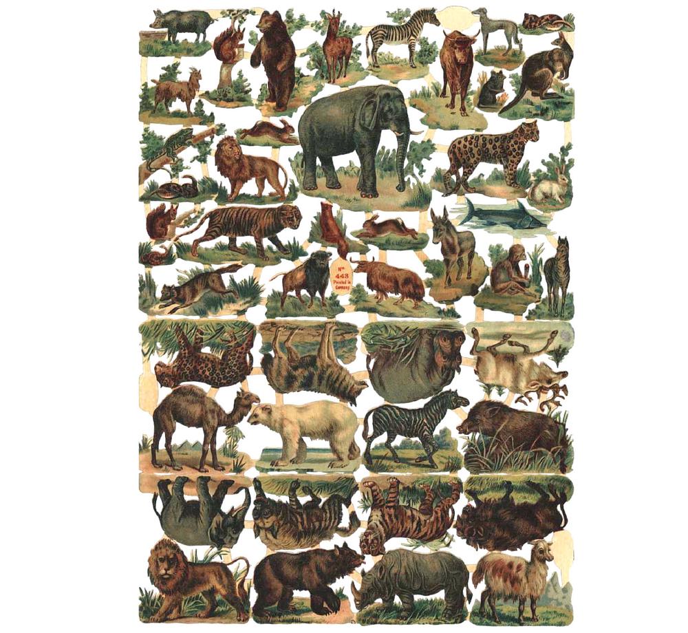 Birn Bros 443 wild animals 2.jpg