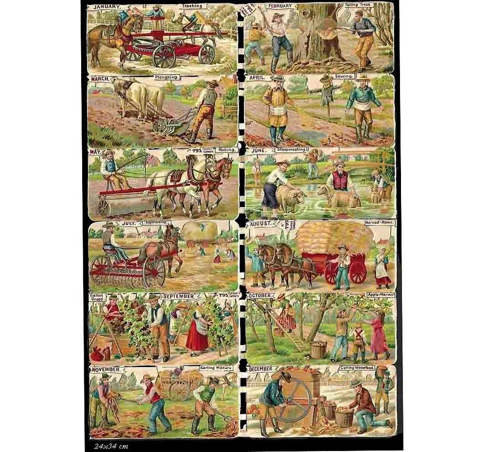 Birn Bros 795 rural 2.jpg