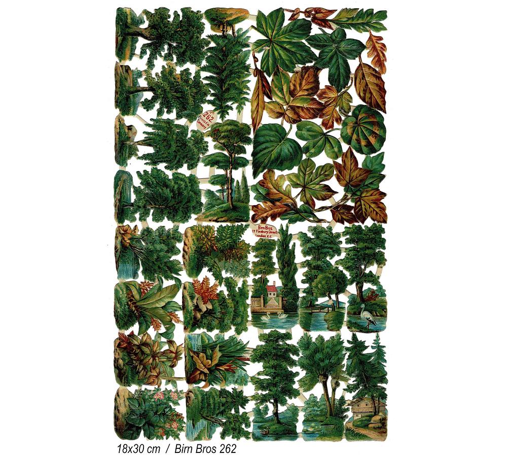 Birn Bros 262 nature 4.jpg