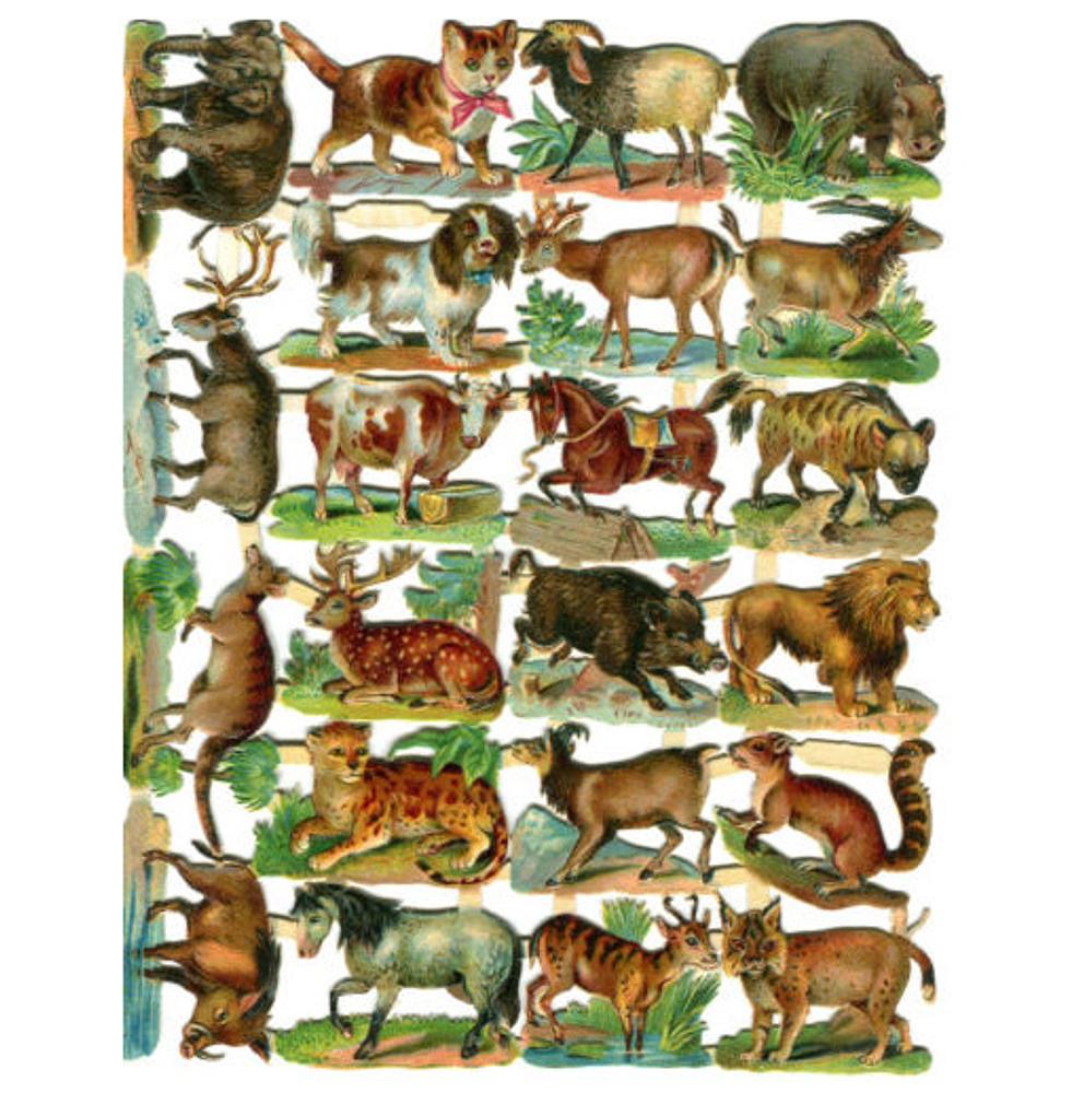 Birn Bros 212 b animals 3.jpg