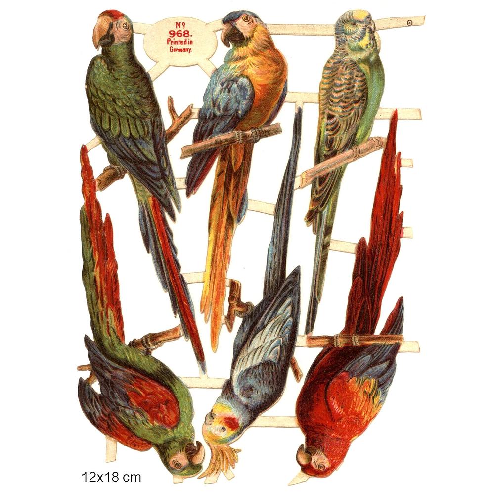 Bb 968 parrots.jpg