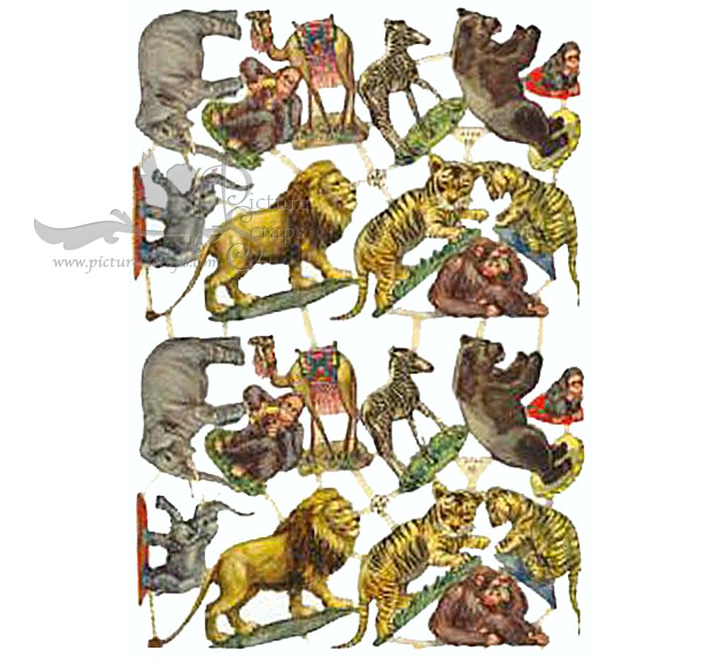 afkh 10a_edited-1.jpg