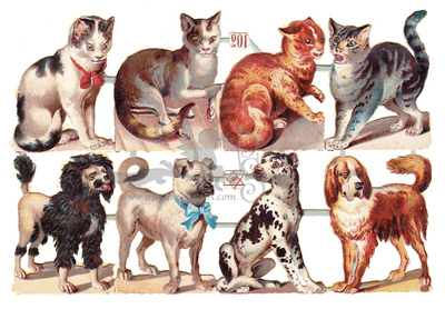 Priester & Eyck 901 cats and dogs.jpg