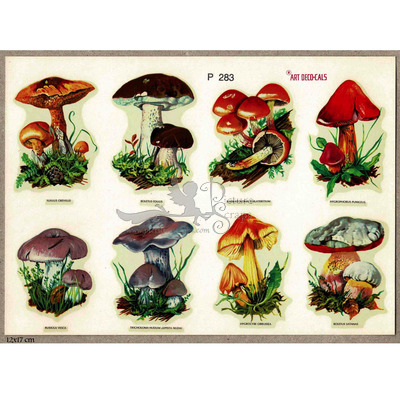 Art deco cals P 283 mushrooms.jpg