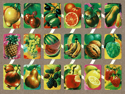 maves 9 fruits.jpg
