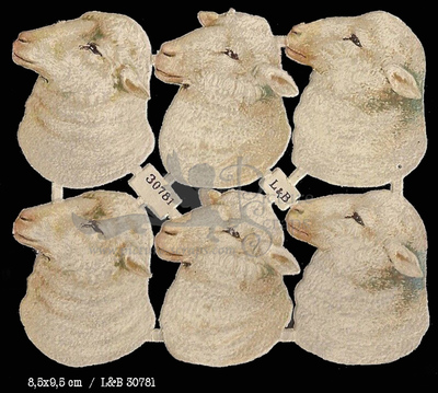 L&B 30781 sheep.jpg