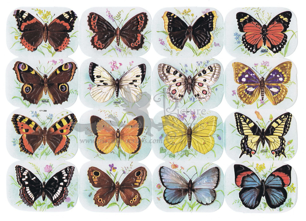 Kruger Intana 171.287-288 butterflies small images.jpg