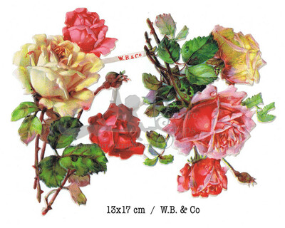 W.B. & Co roses.jpg