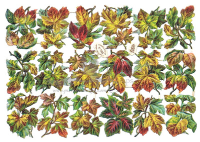 R.Tuck 1086 leafs.jpg