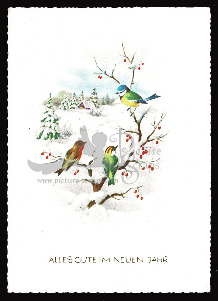 Postcard Haco 0376 winter landscape birds.jpg