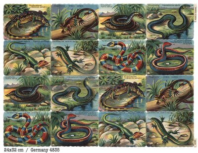 Printed in Germany 4835 snakes reptiles square educational scraps.jpg