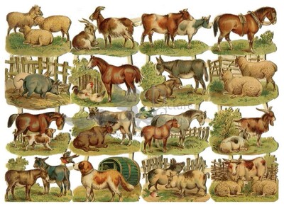 r.tuck farm animals.jpg