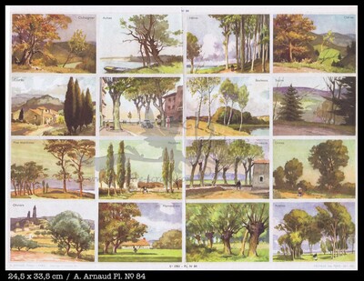 Arnaud 84 Trees.jpg