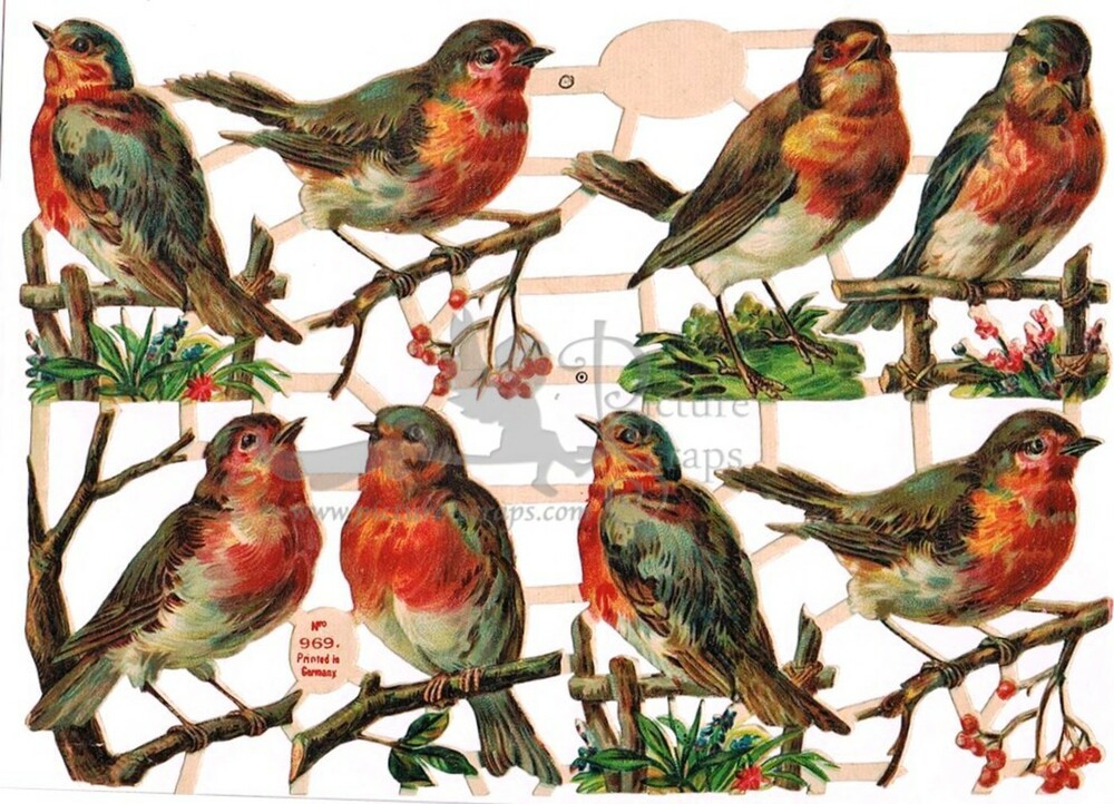 Printed in Germany 969 birds.jpg