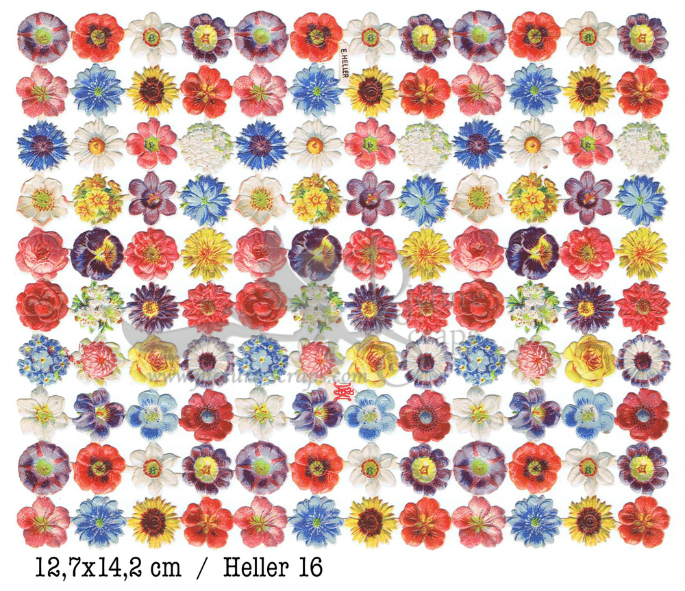 Heller 16 flowers.jpg