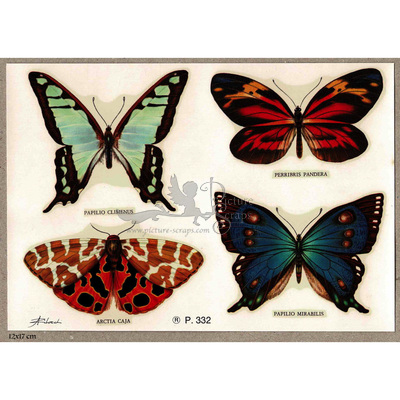 Art deco-cals P 332 butterflies.jpg