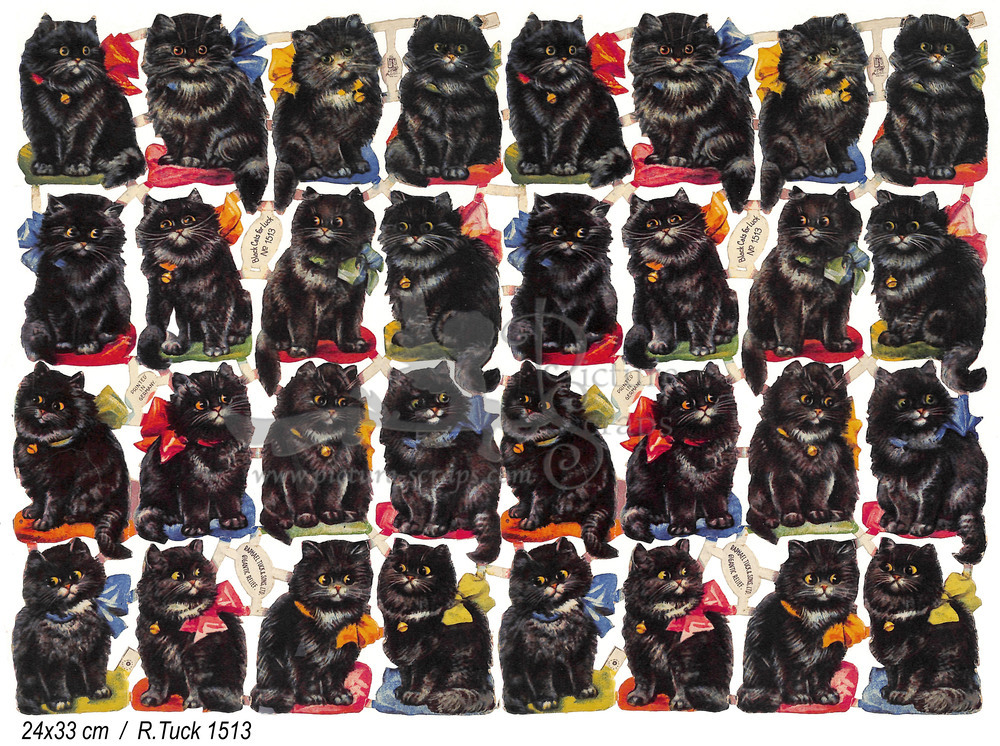R.Tuck 1513 cats 16,5 x 13 cm.jpg