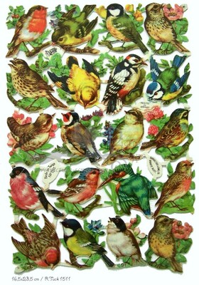 R.Tuck 1511 birds.jpg