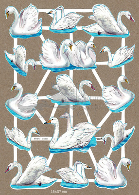 TBZ 571017 white swans.jpg