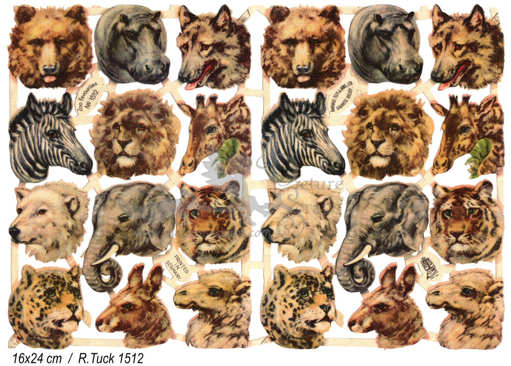 R.Tuck 1512 wild animals.jpg