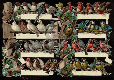 K&B 1865 birds.jpg