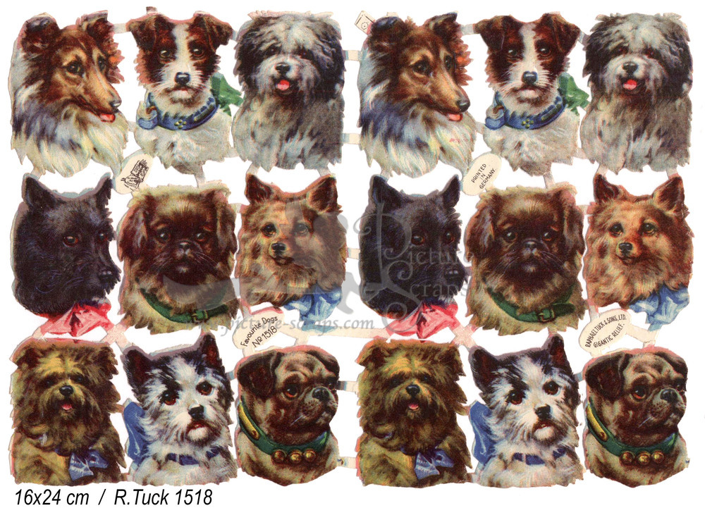 R.Tuck 1518 dogs 6.5x4.5.jpg