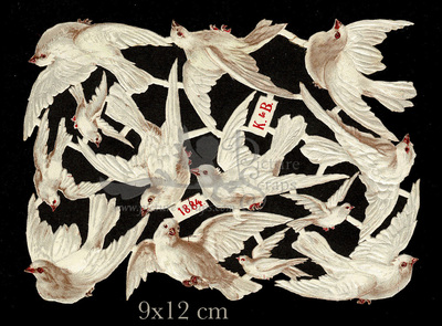 K&B 1884 doves.jpg