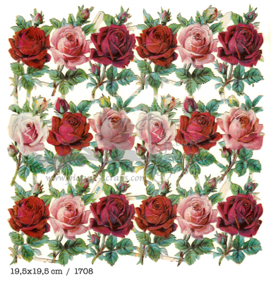 NL 1708 roses.jpg
