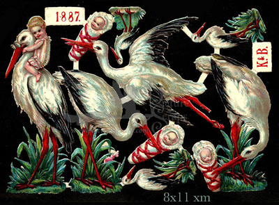 K&B 1887 babies and storks.jpg