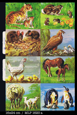 MLP 1620 a animals family.jpg