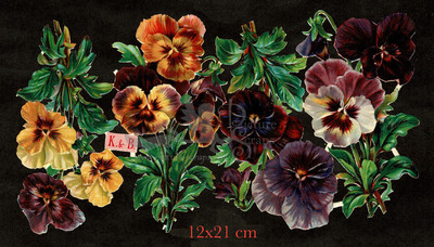 K&B 1946 violets flowers.jpg