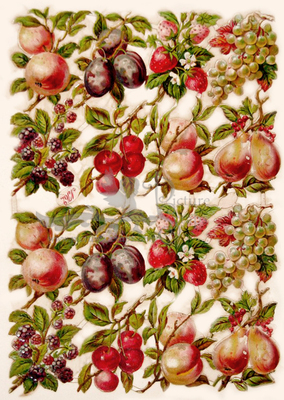 R.Tuck 162 fruits.jpg
