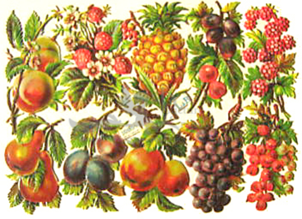 L&B 30854 fruits.jpg
