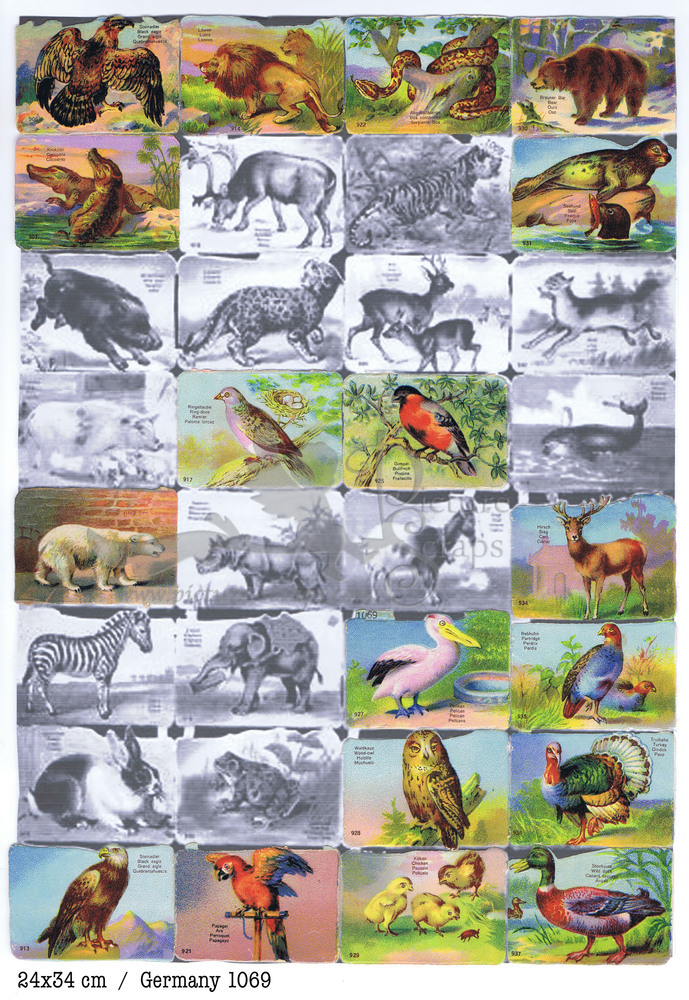 Printed in Germany 1069 animals 33x24cm square educational scraps.jpg