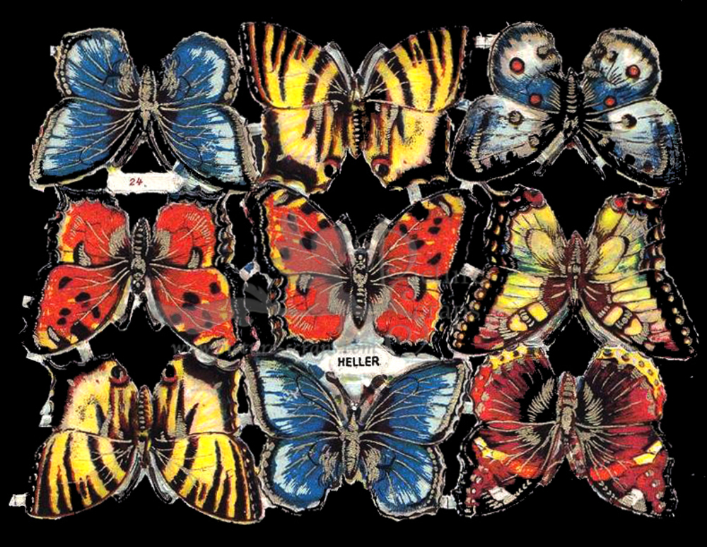 heller 24 butterflies.jpg