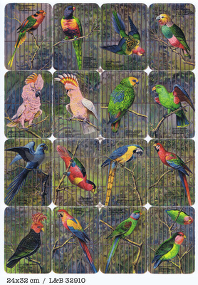 L&B 32910 parrots square educational scraps.jpg