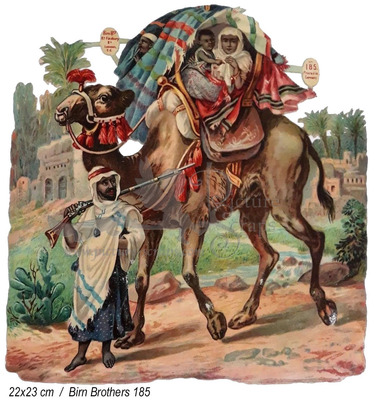 Birn Brothers 185 transport on camel.jpg
