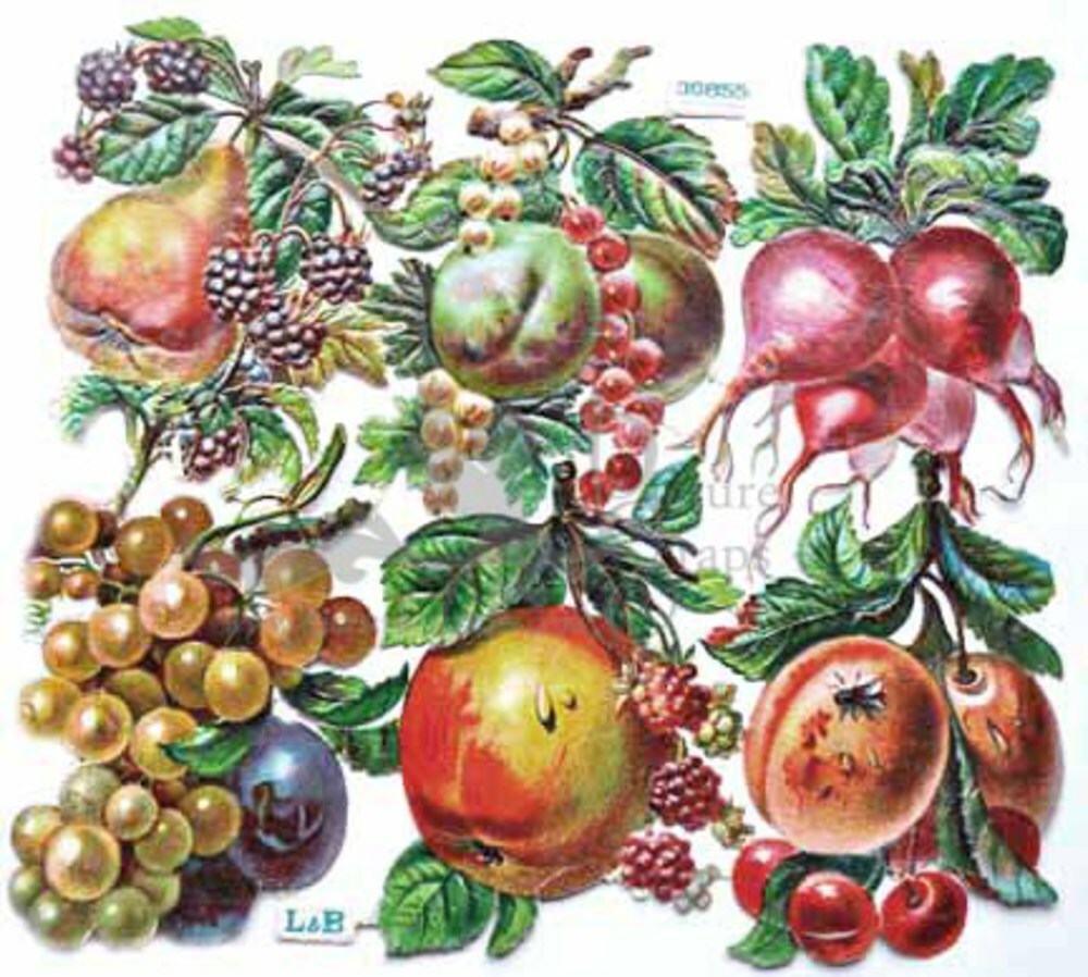 L&B 30855 fruits.jpg