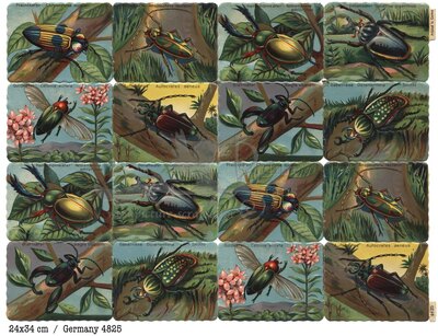 Printed in Germany 4825 Beetles square educational scraps.jpg