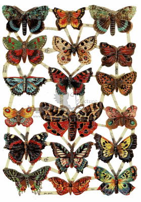 EF 7221 butterflies glitter.jpg