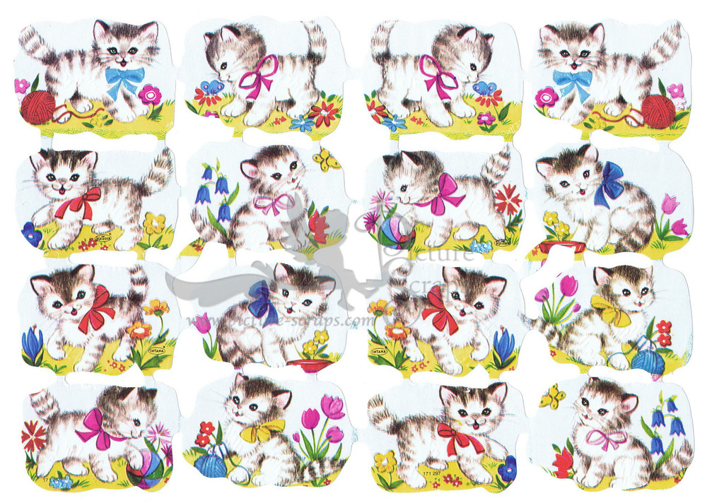 Kruger Intana 171.297 kittens playing small images.jpg