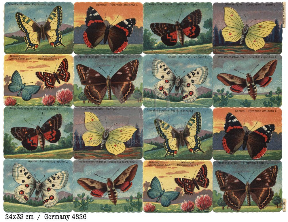Printed in Germany 4826 butterflies square educational scraps.jpg