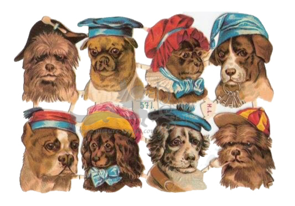HL 571 Dog heads with hats.jpg