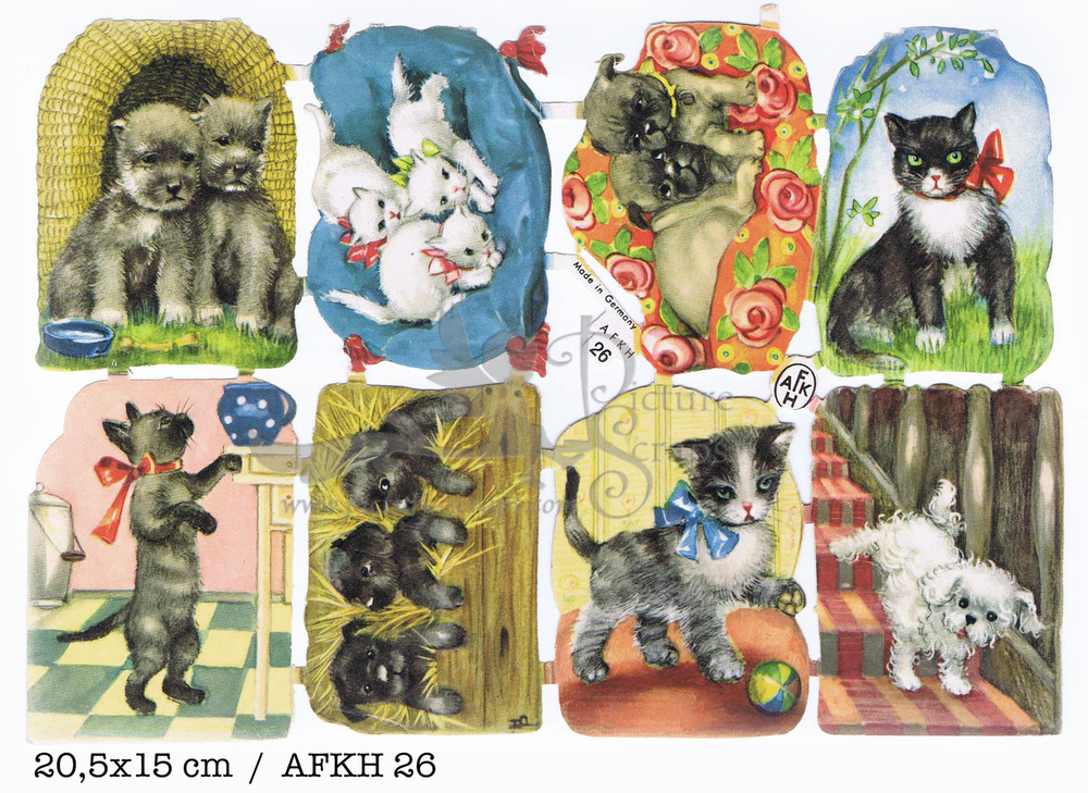 AFKH 26 kittens and puppies.jpg