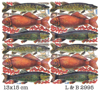 L&B 2995 fish 13 x 15,5.jpg