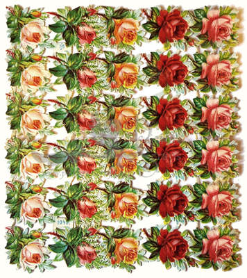 HJ 1049 roses.jpg