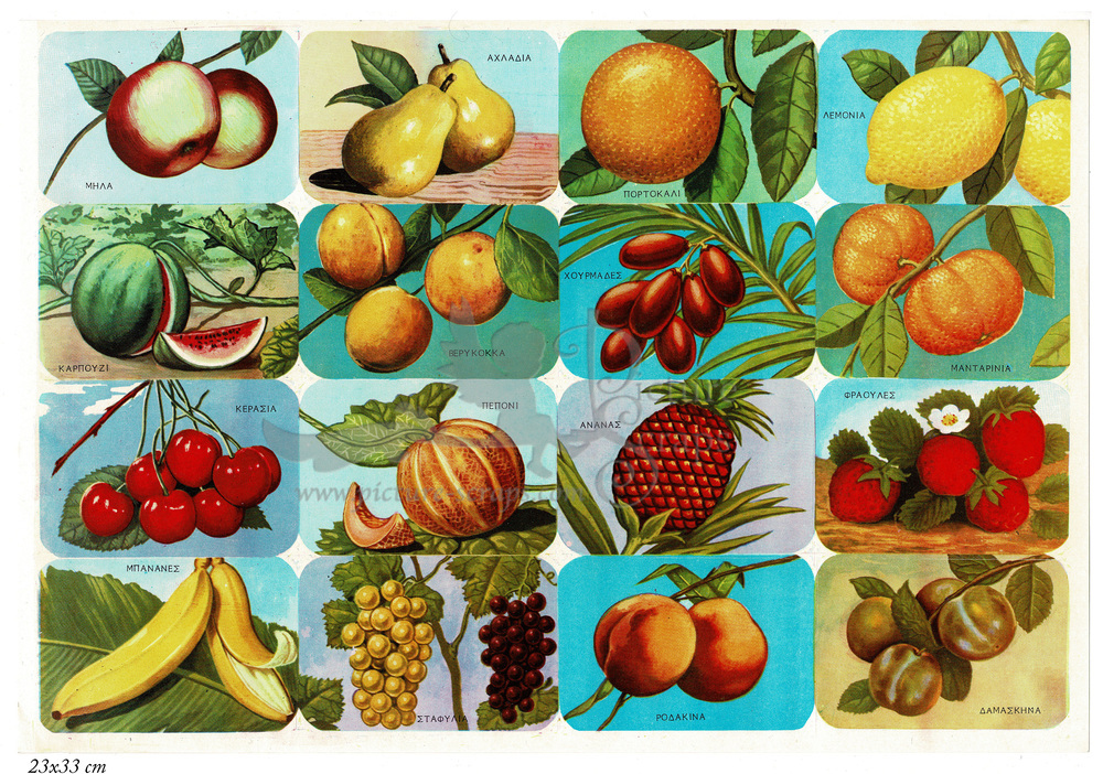 Rekos educational sheet fruits.jpg