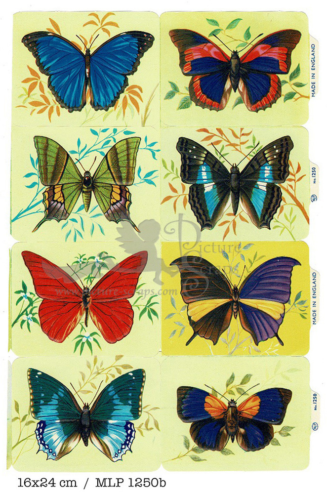 MLP 1250 b butterflies.jpg